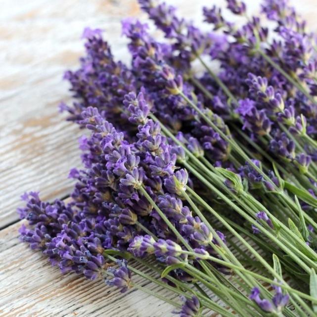 Vela aromática Lavanda Vainilla